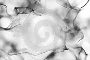 Particles moving on white background, 3d rendering