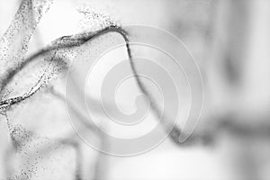 Particles moving on white background, 3d rendering