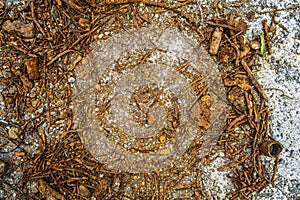 Particles of unknown rusted metal part