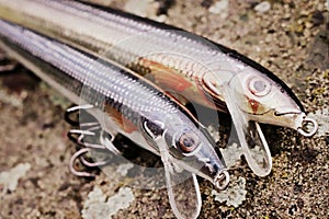 Detail of two fishing balsa lures plugs photo
