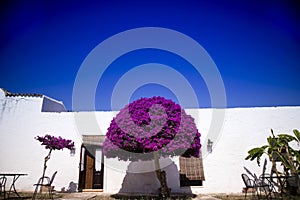 Particular architectural Masseria