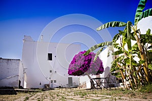 Particular architectural Masseria