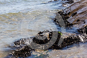 particular of beach with rocks in summer