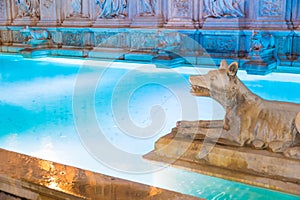 Particular of Fonte Gaia 1400s at night in the center of Siena, Italy