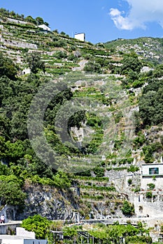 A particular steep wall of the Amalfi coast