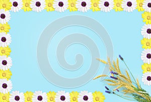 A particularly festive greeting card in shades with yellow and white flowers on a blue background for Shavuot