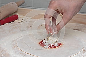 Particularly the preparation of pizza photo