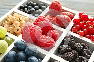 Partitioned box with delicious ripe berries, closeup