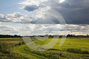 Partly abandoned meadows