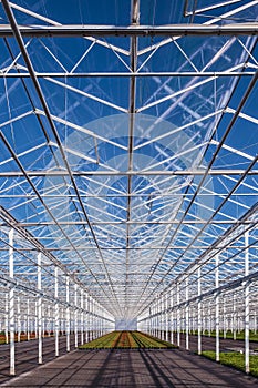 Partly empty greenhouse against a blue sky