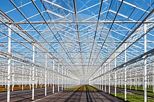 Partly empty greenhouse against a blue sky