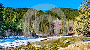 Partly frozen Cayoosh Creek a the Duffey Lake Road,  in Southern BC, Canada