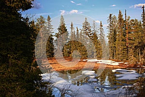 Partly frozen marsh in northern Swedish Lapland