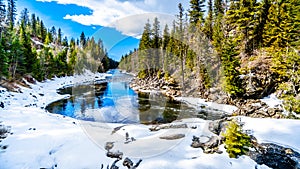 The partly frozen Murtle River in British Columbia, Canada photo