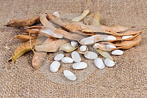 Partly husked kidney beans among dry pods on sackcloth closeup