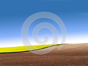 Partly ploughed field with