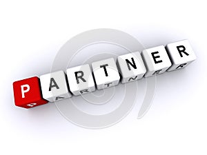 partner word block on white