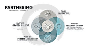 Partnering analysis infographic template has 4 steps to analyze such as partner network and profile, value for partner, partner