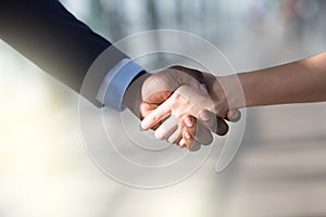 Partners shaking hands . Woman and man greeting each other