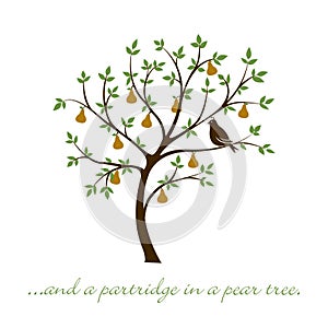 Partridge in a pear tree card