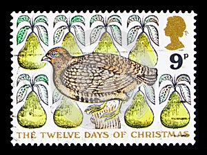 A Partridge in a Pear Tree, Christmas 1977 - TheTwelve days of Christmas serie, circa 1977