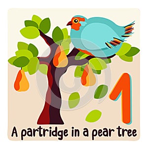 Partridge in pear tree. Twelve days of Christmas. Vector illustration