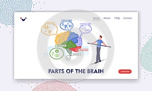 Parts of the Brain Landing Page Template. Tiny Male Character Balancing on Rope at Huge Human Brain Anatomy