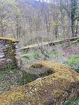 A parts of a castle ruin in the forest