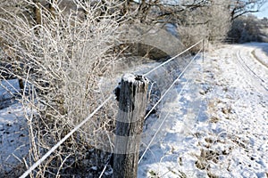 Parts of the electric fence are covered with frost
