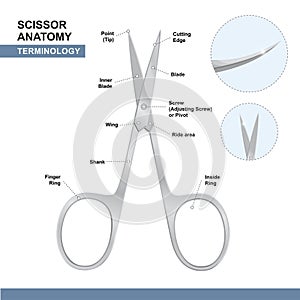 Parts of Nail Cutting Shears. Terminology of Scissors. Manicure and Pedicure Care Tools. Vector