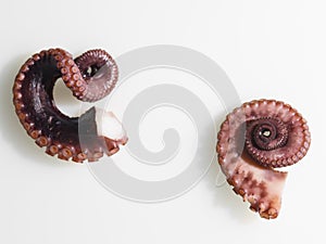 Parts of an octopus with tentacles and suckers isolated on a white background. Top view. Cooking, seafood recipes. Japanese, Thai