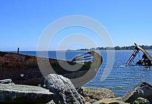 Rusty shipwreck at Royston, Vasncouver Island photo