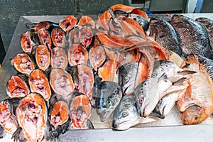 Parts of salmons for sale photo