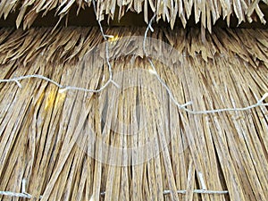 Parts of a Straw roof as in a typical village hut house