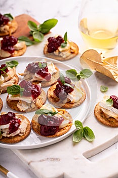 Party appetizers with turkey, brie and cranberry sauce