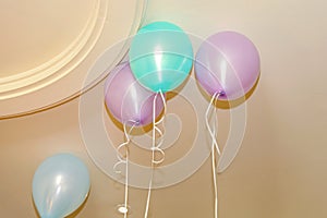 Party Balloons Ceiling