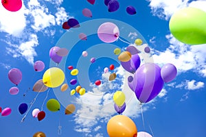 Party Balloons Flying Sky