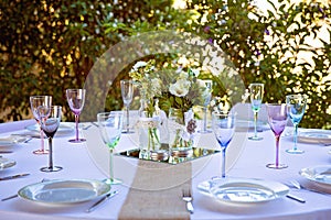 Party Or Bridal Table In A Bushland Setting