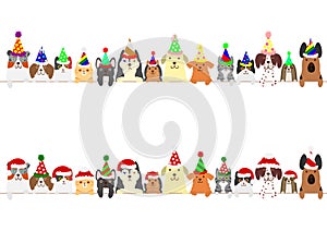 Party cats and dogs border set