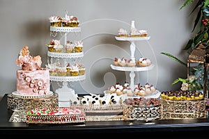 Party decorations; Candy table, table with various sweets and cakes