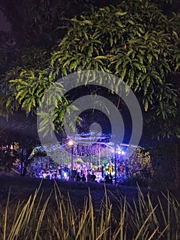 Party in The forest colors