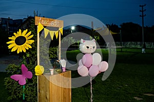 Party in the garden. Balloon Arrangement. Festive table setting. Party with a special theme.