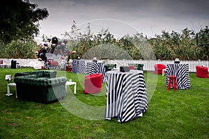 Party in the garden. Balloon Arrangement. Festive table setting. Party with a special theme.