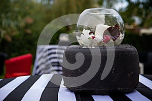 Party in the garden. Balloon Arrangement. Festive table setting. Party with a special theme.