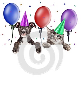 Party Kitten and Puppy Hanging Over Blank Banner