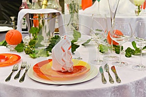 Party table setting