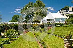 Party tent and garden