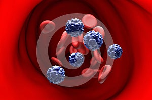 Parvovirus B19 in erythema infectiosum - section view 3d illustration photo