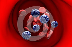 Parvovirus B19 in erythema infectiosum - section view 3d illustration