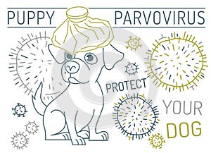 Parvovirus in puppies. First signs of dogs parvo.